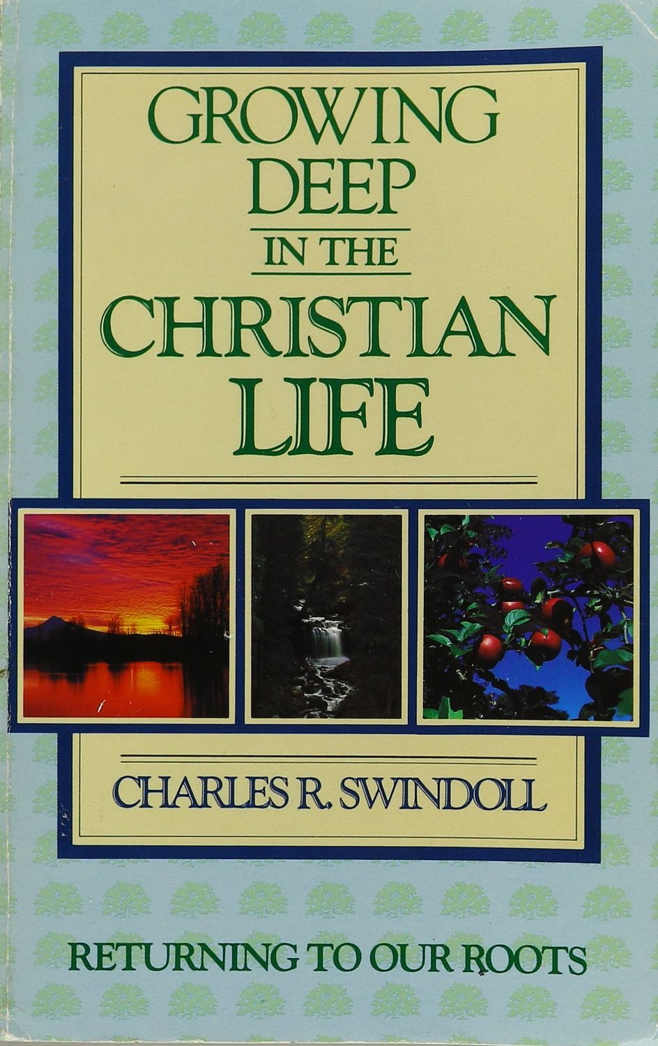 Growing Deep in the Christian Life...