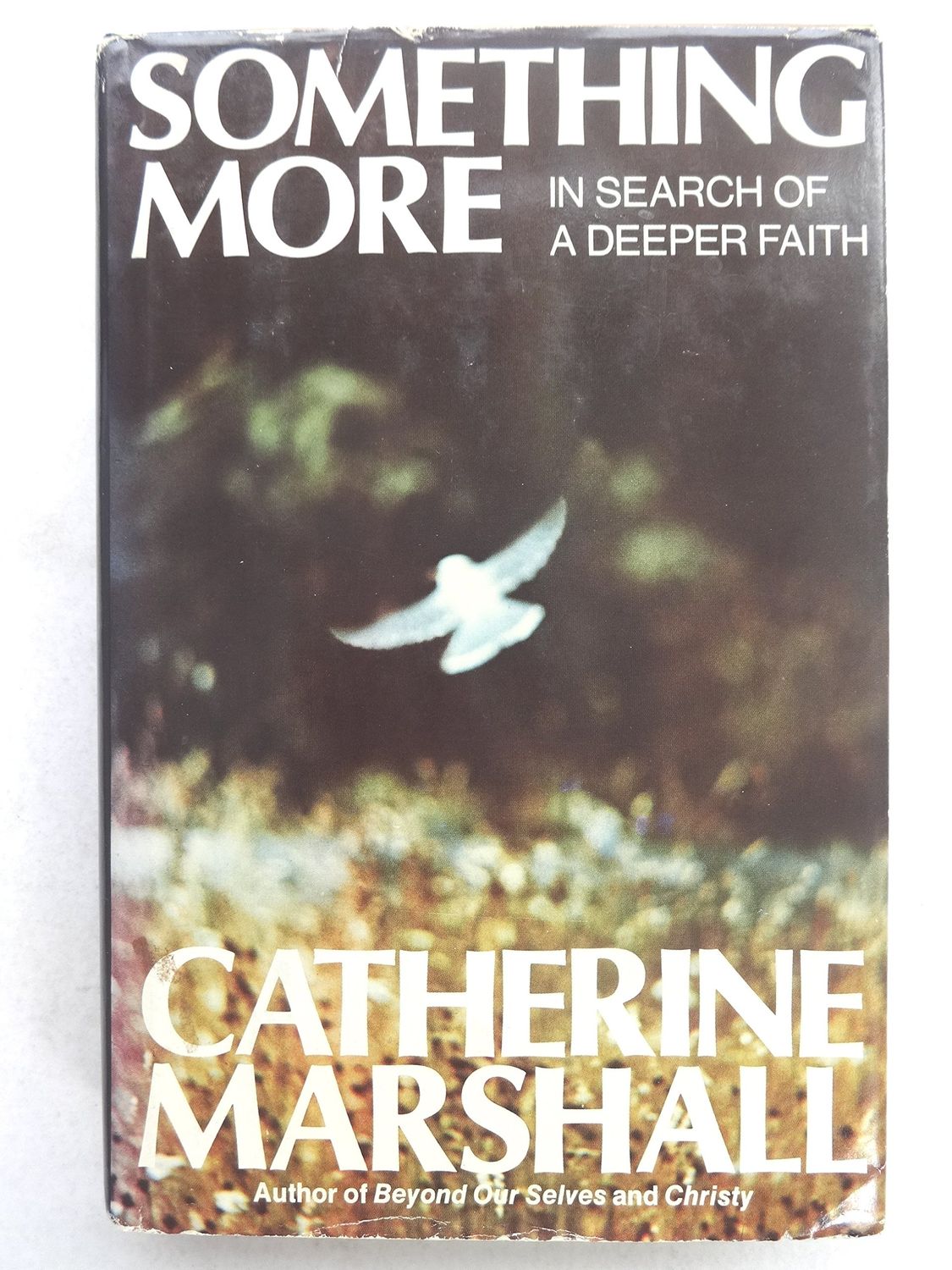 Something More: In Search of A Deeper Faith...