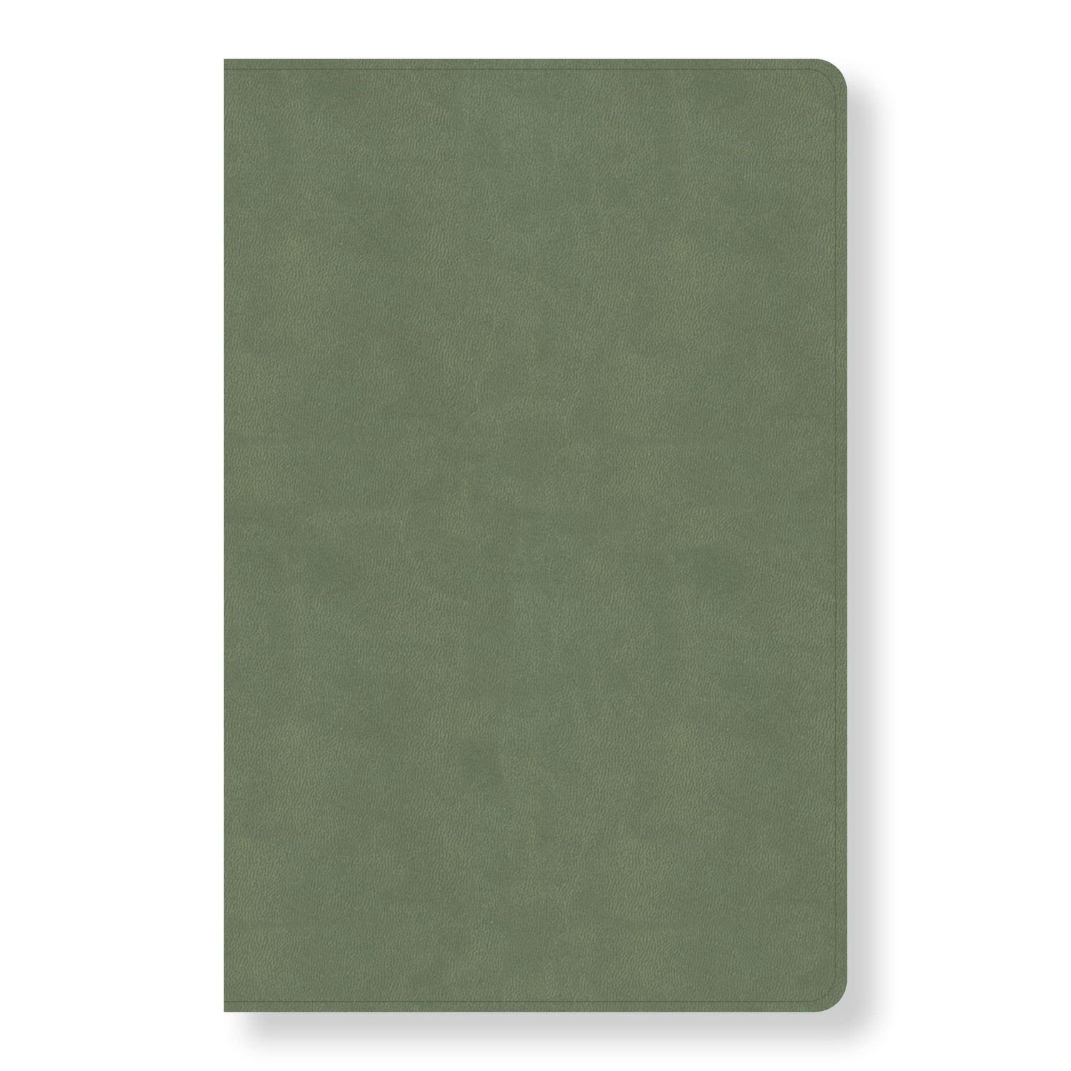 CSB Every Day with Jesus Daily Bible, Sage LeatherTouch, Black Letter, Reading Plan, One Year