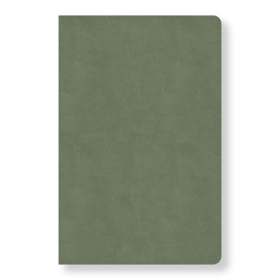 CSB Every Day with Jesus Daily Bible, Sage LeatherTouch, Black Letter, Reading Plan, One Year