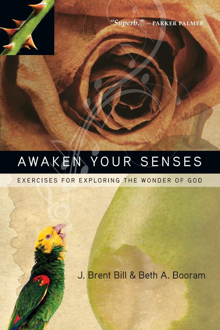 Awaken Your Senses...
