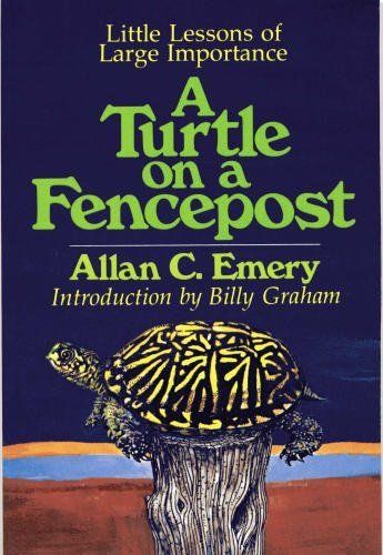 A Turtle On A Fencepost