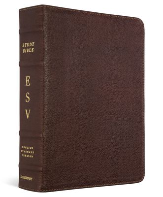 ESV Study Bible (Cowhide, Deep Brown)