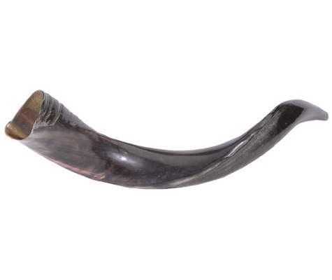 Holy Land Gifts 4884 Shofar Yemenite Mini 20 In. 22 In.