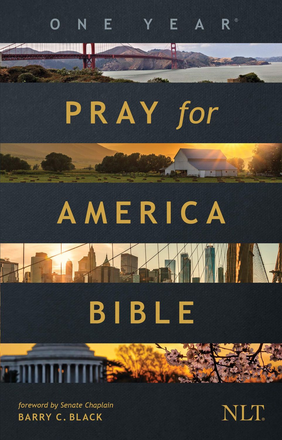 The One Year Pray for America Bible, NLT (Paperback) - Inspirational Daily Bible