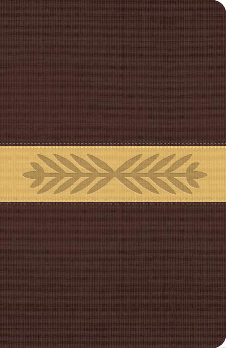 The Message Full Size (Leather-Look, Harvest Wheat): The Bible in Contemporary Language