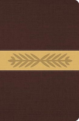 The Message Full Size (Leather-Look, Harvest Wheat): The Bible in Contemporary Language