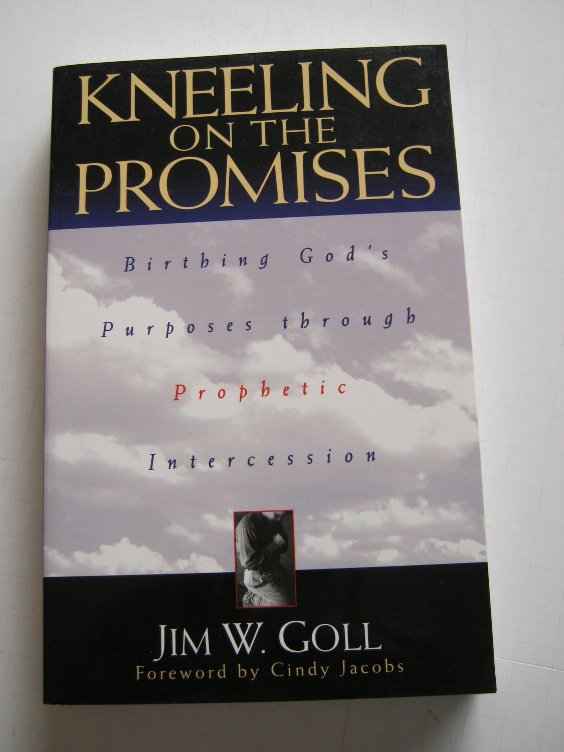 Kneeling on the Promises: Birthing Gods Purposes through Prophetic Intercession...