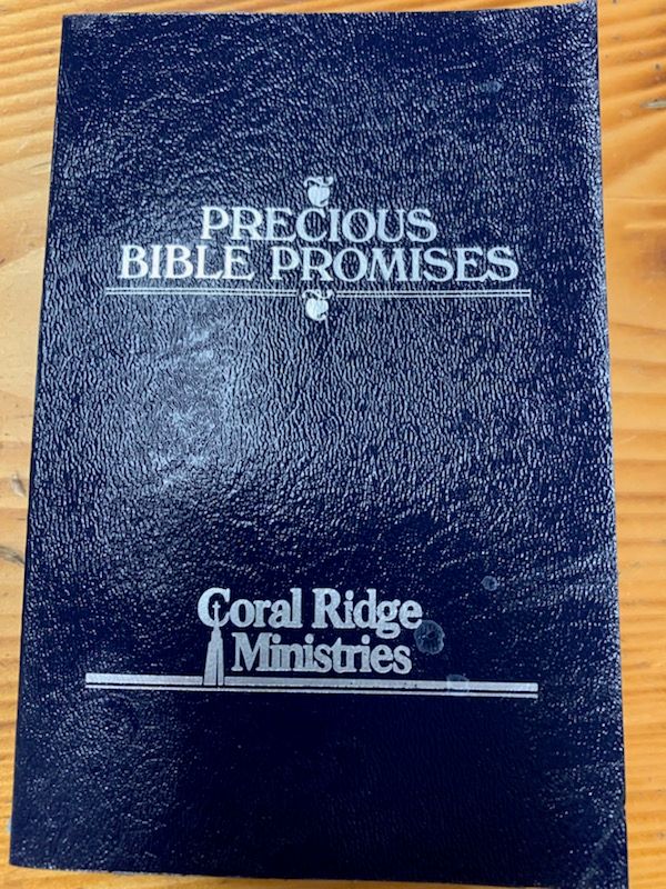 Precious Bible Promises, Burgundy Genuine Bonded Leather