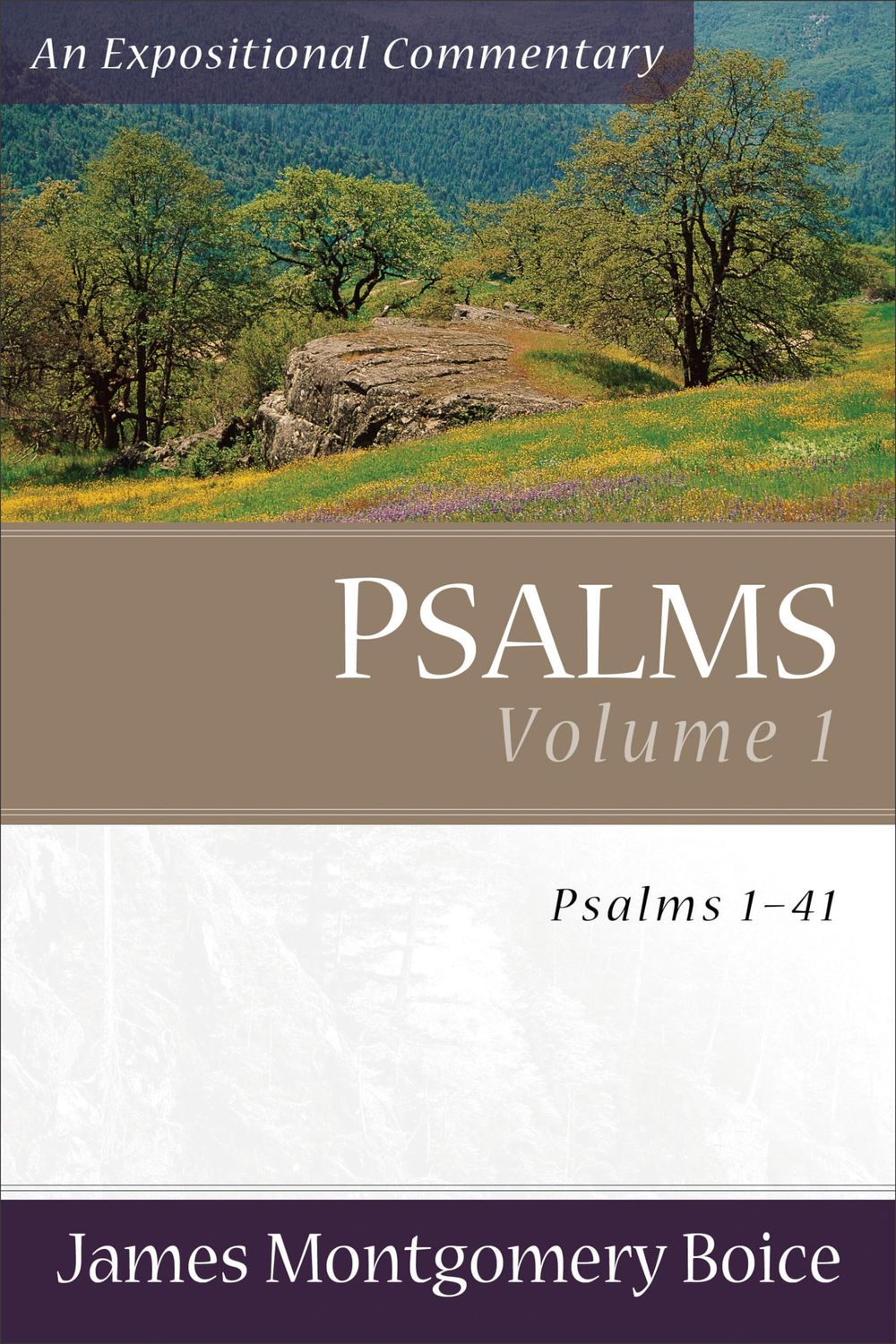 Psalms Voume 1: Psalms 1-41 (An Expositional Commentary)..