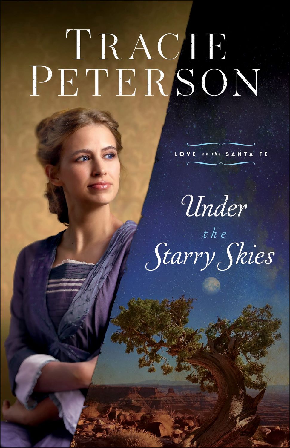 Under the Starry Skies: (A Christian Historical Romance Series Set in Early 1900's New Mexico)..