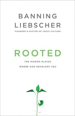 Invitation to Solitude and Silence: Experiencing God&#39;s Transforming Presence..