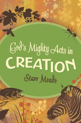 God&#39;s Mighty Acts in Creation..