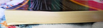Jesus Among Other Gods: The Absolute Claims of the Christian Message (Facilitator&#39;s Guide)..