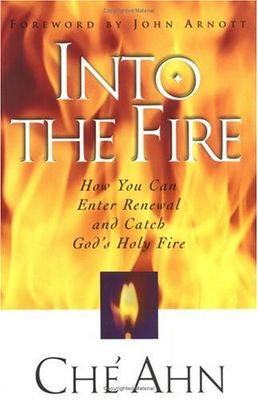 Into The Fire...
