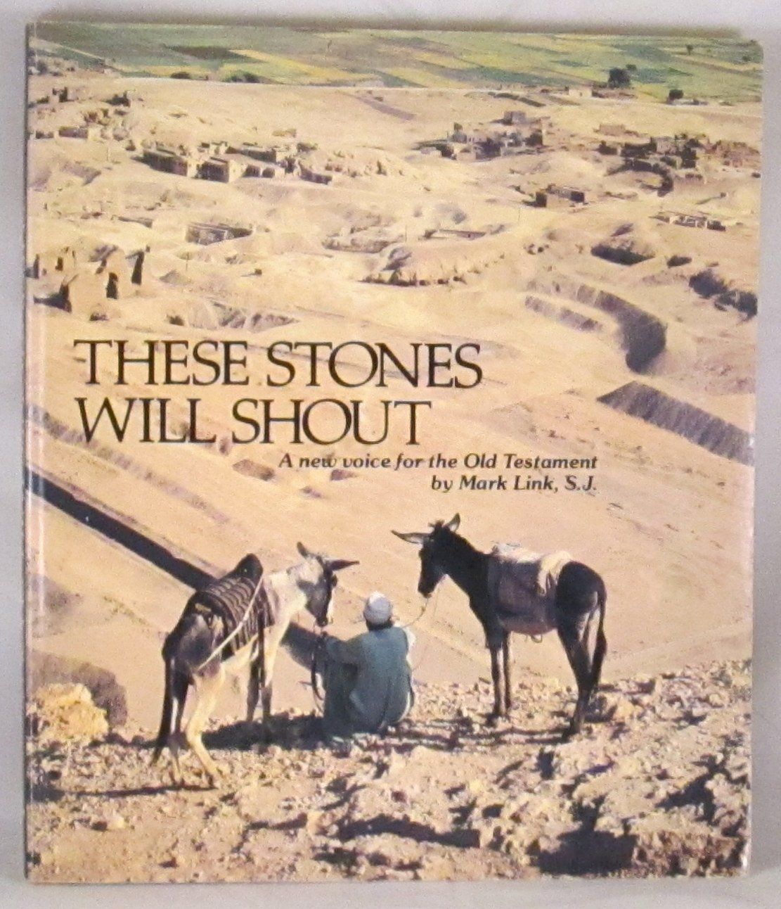 These stones will shout: A new voice for the Old Testament...