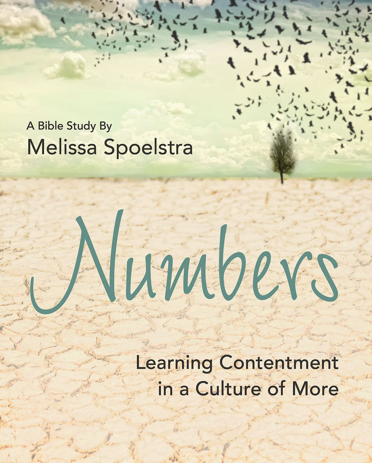 Numbers - Women's Bible Study Participant Workbook: Learning Contentment in a Culture of More..
