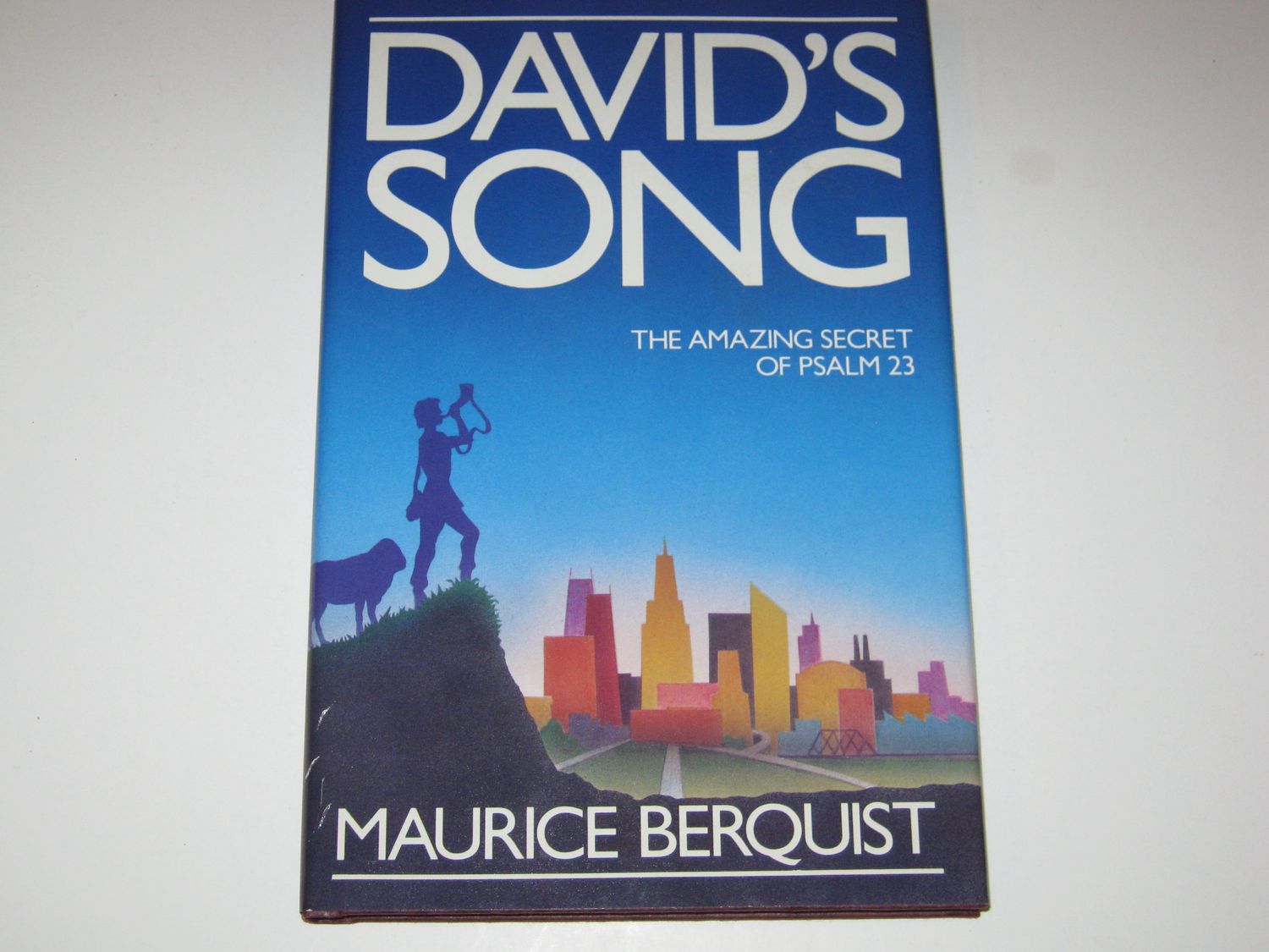 David's Song Amazing Secret of Psalm 23...