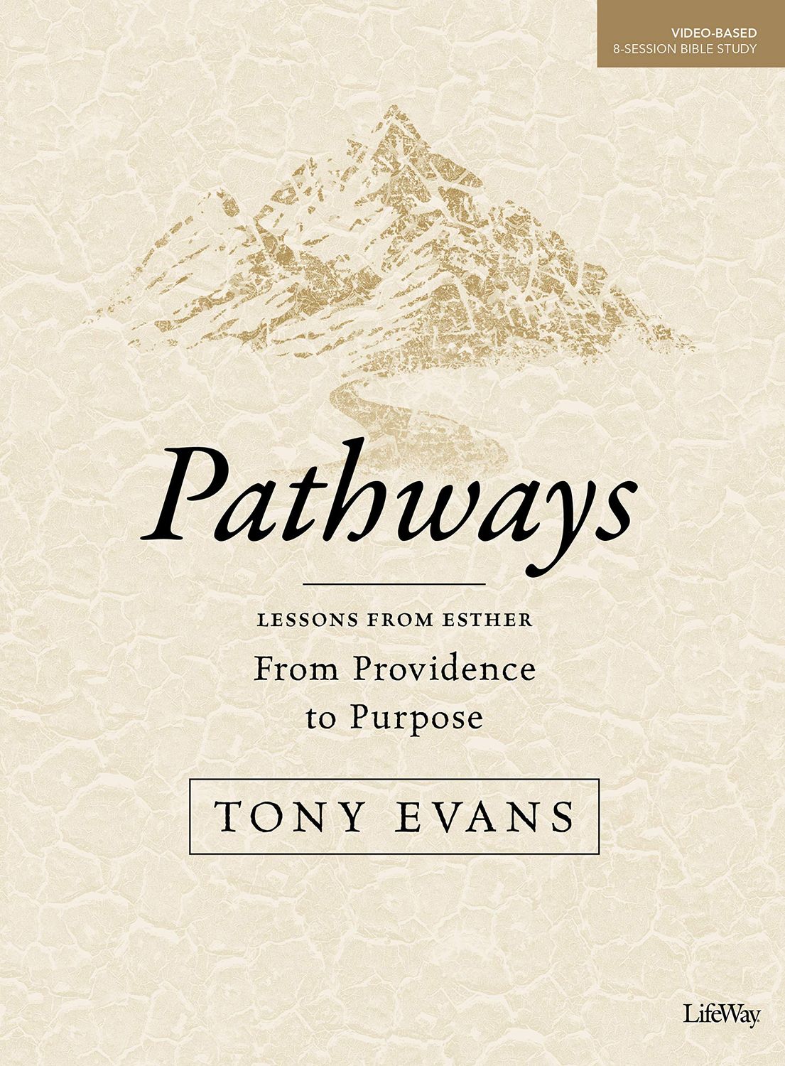 Pathways - Bible Study Book: From Providence to Purpose..