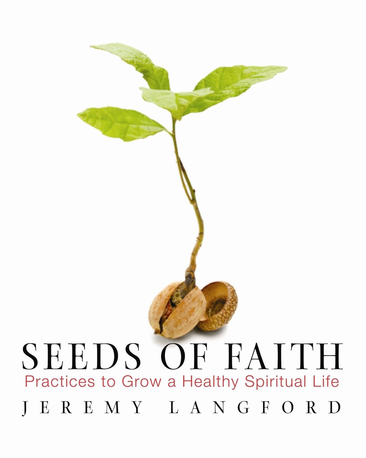 Seeds of Faith: Practices to Grow a Healthy Spiritual Life...