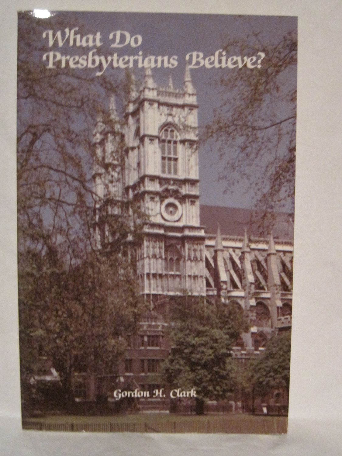 What Do Presbyterians Believe?: The Westminster Confession: Yesterday and Today..