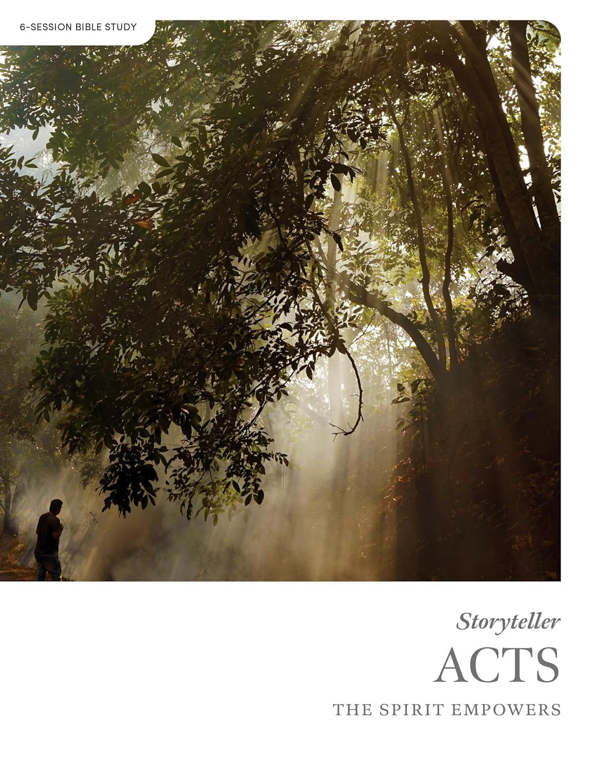 Acts - Storyteller - Bible Study Book: The Spirit Empowers..