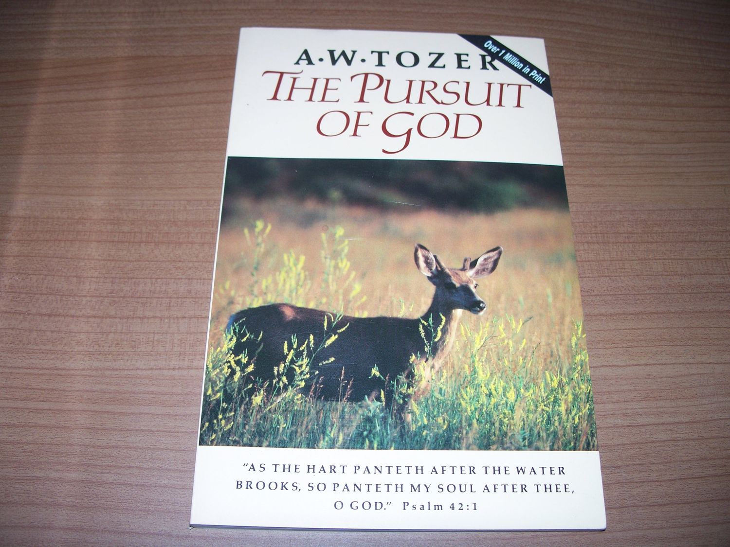 The Pursuit of God....