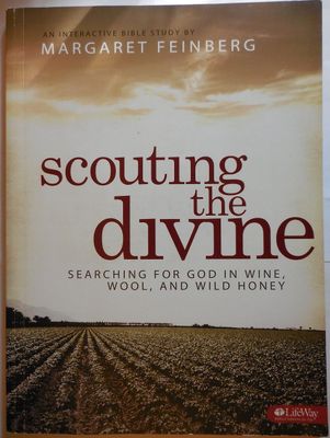 Scouting the Divine Workbook: Searching for God in Wine, Wool and Wild Honey..