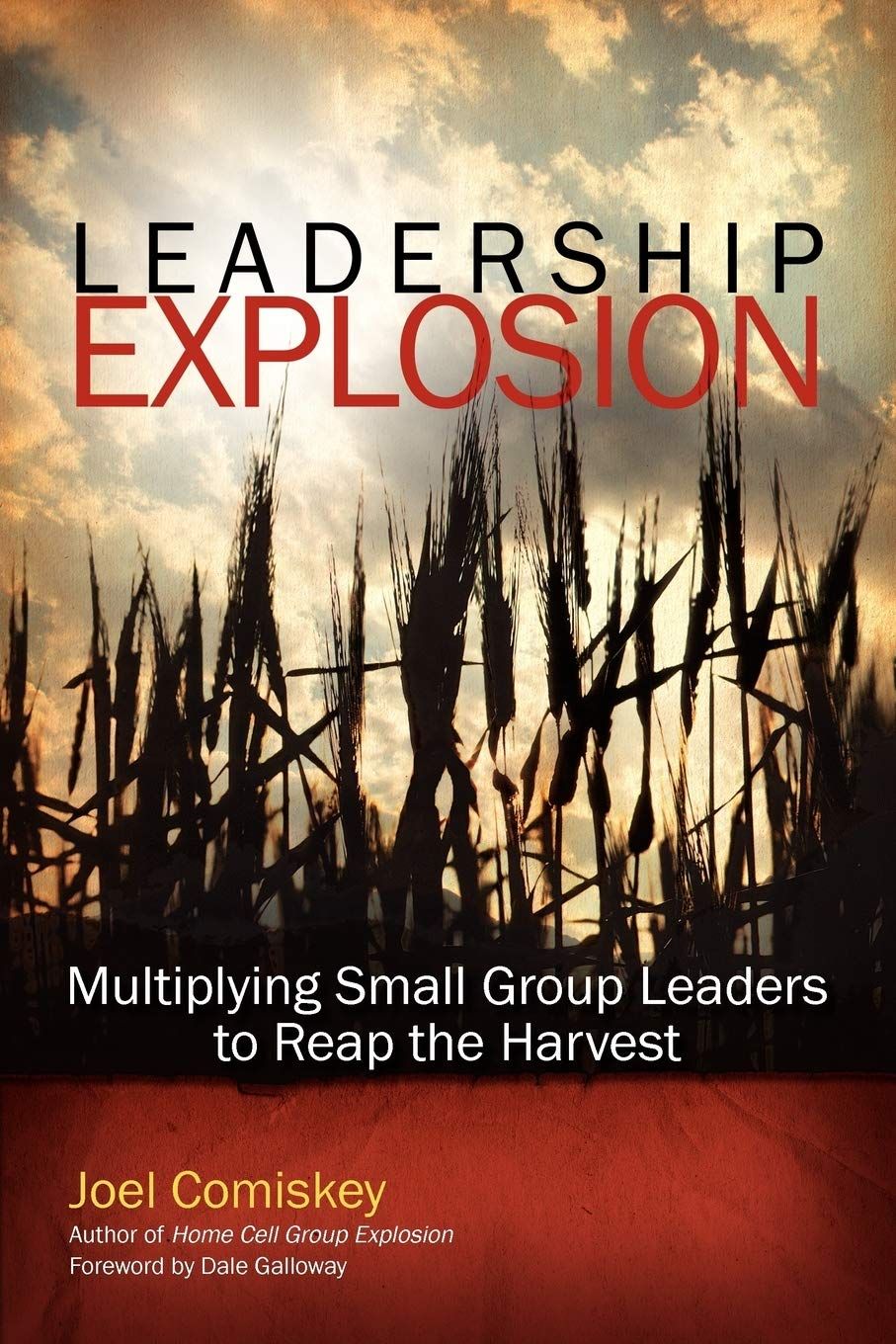 Leadership Explosion: Multiplying Cell Group Leaders for the Harvest..