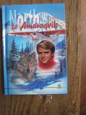 North to Amaroqvik...