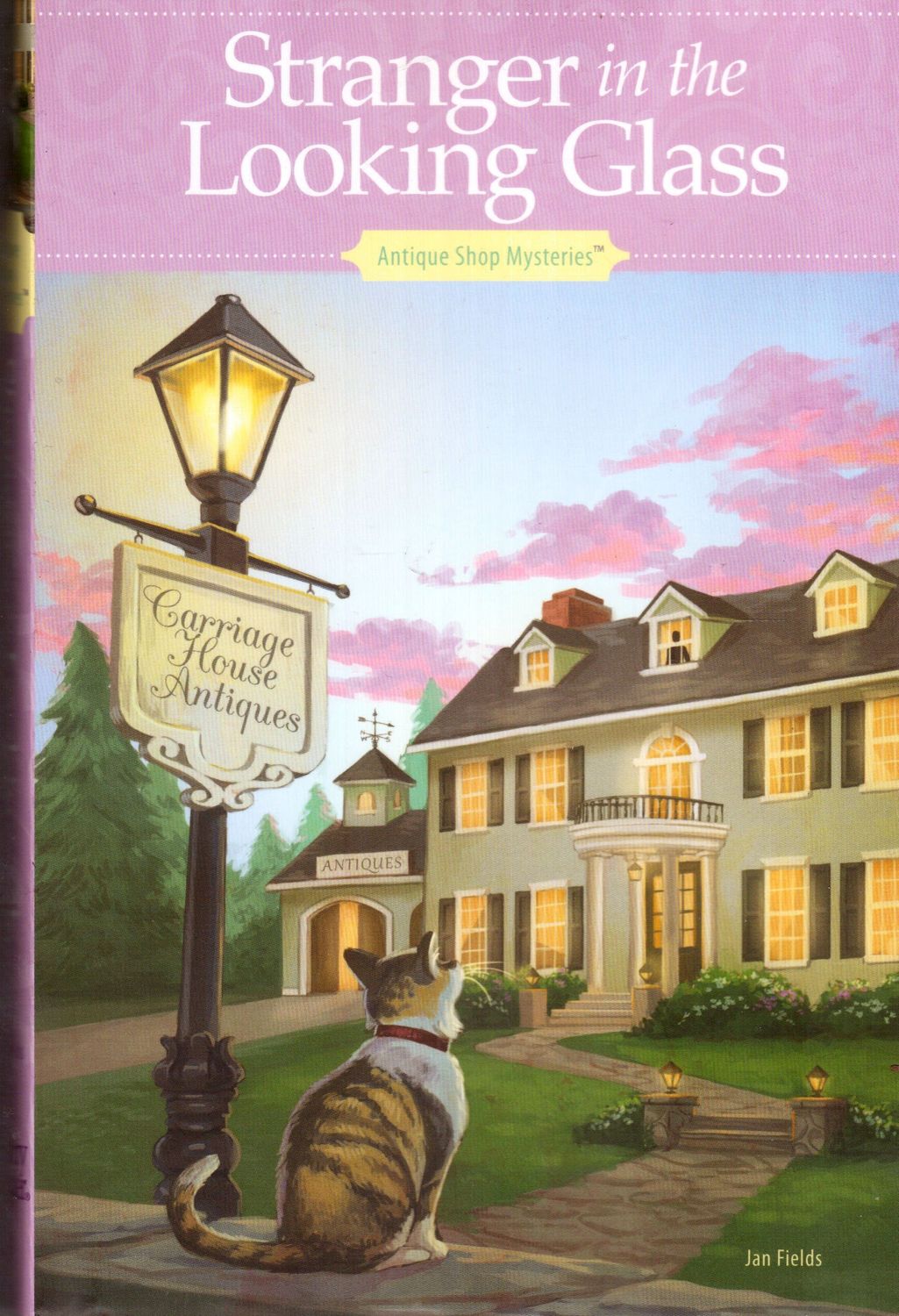 Stranger in the looking glass..