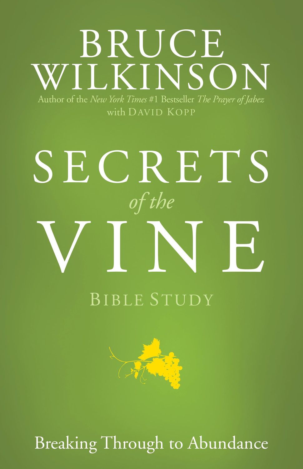 Secrets of the Vine Bible Study..