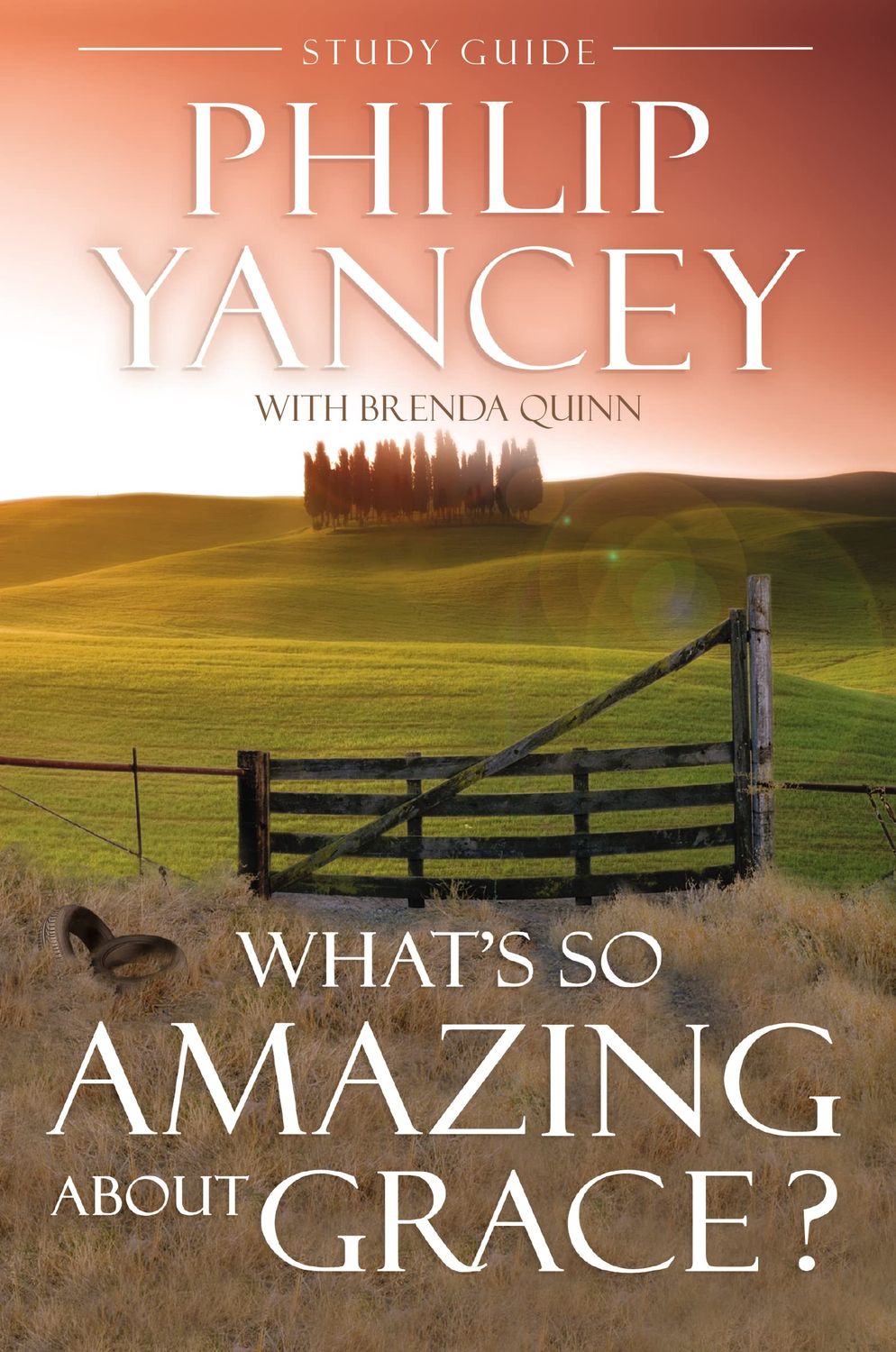 What&#39;s So Amazing About Grace? Study Guide...