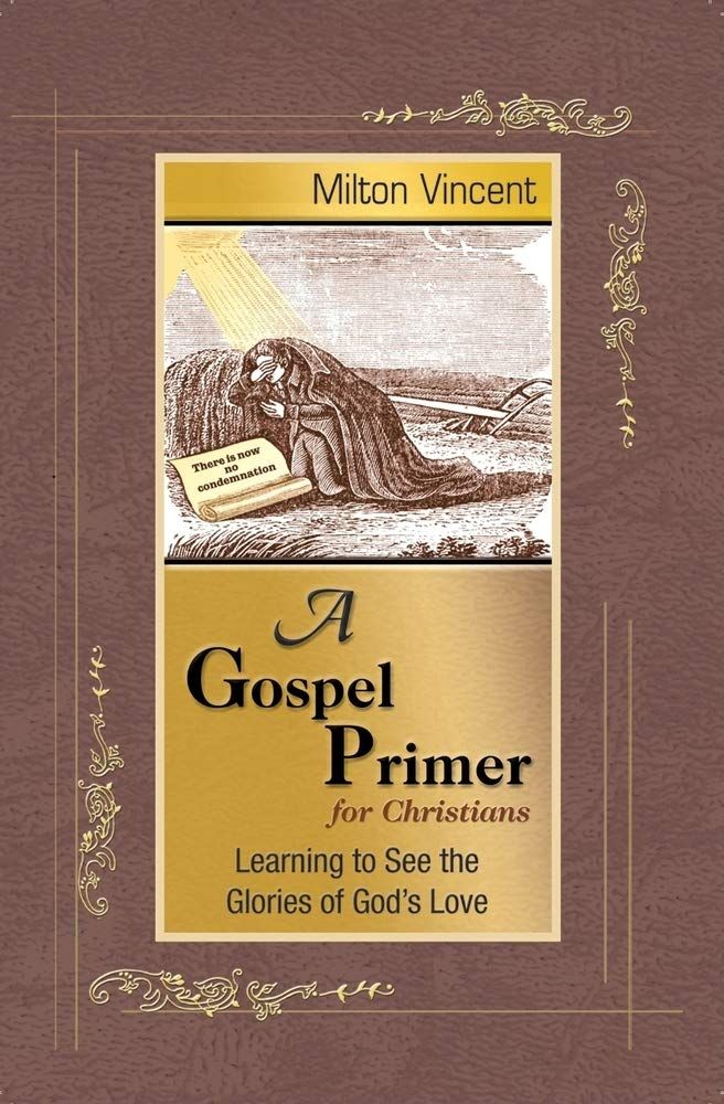 A Gospel Primer for Christians: Learning to See the Glories of God&#39;s Love....