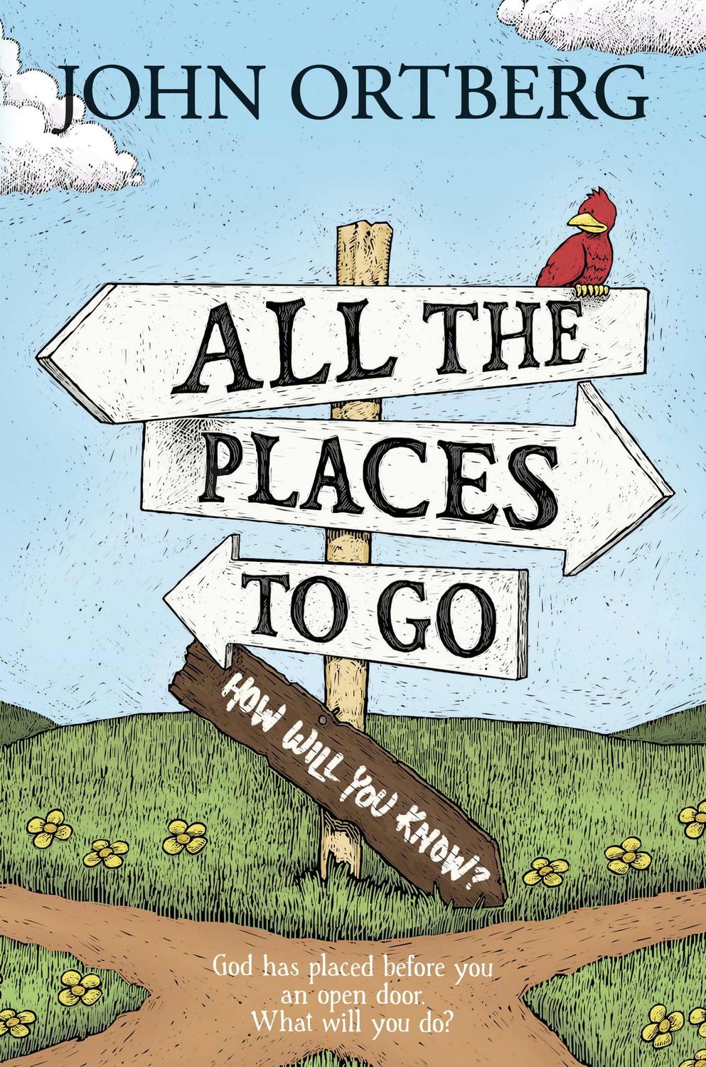 All the Places to Go . . . How Will You Know?: God Has Placed before You an Open Door. What Will You Do?....