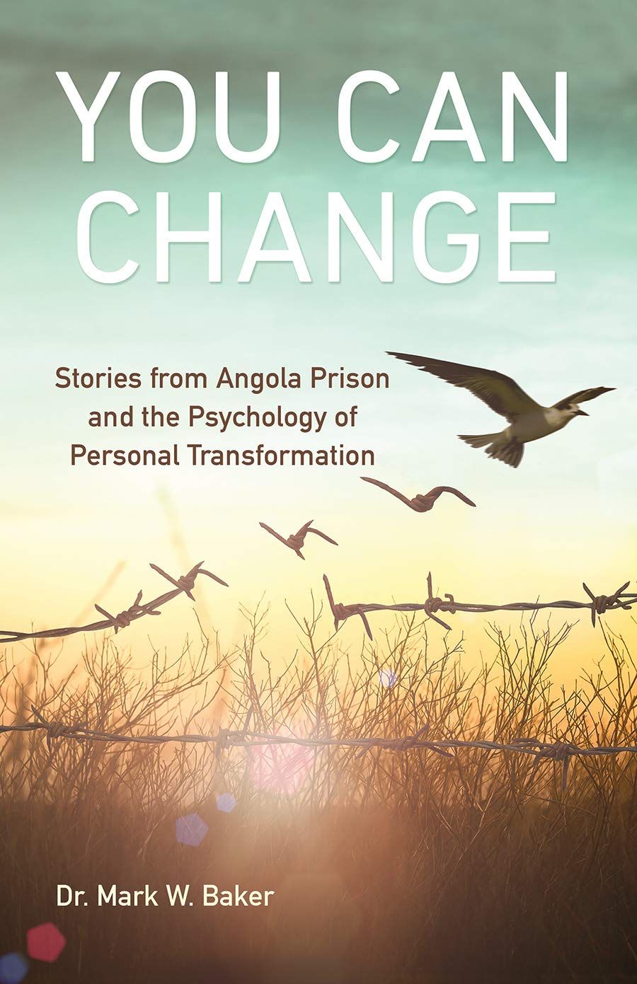 You Can Change: Stories from Angola Prison and the Psychology of Personal Transformation...