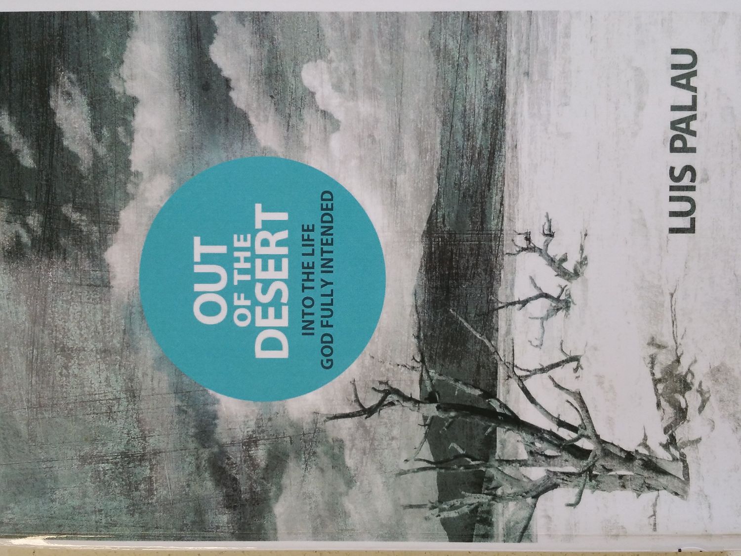 Out of the Desert, Into the Life God Fully Intended...