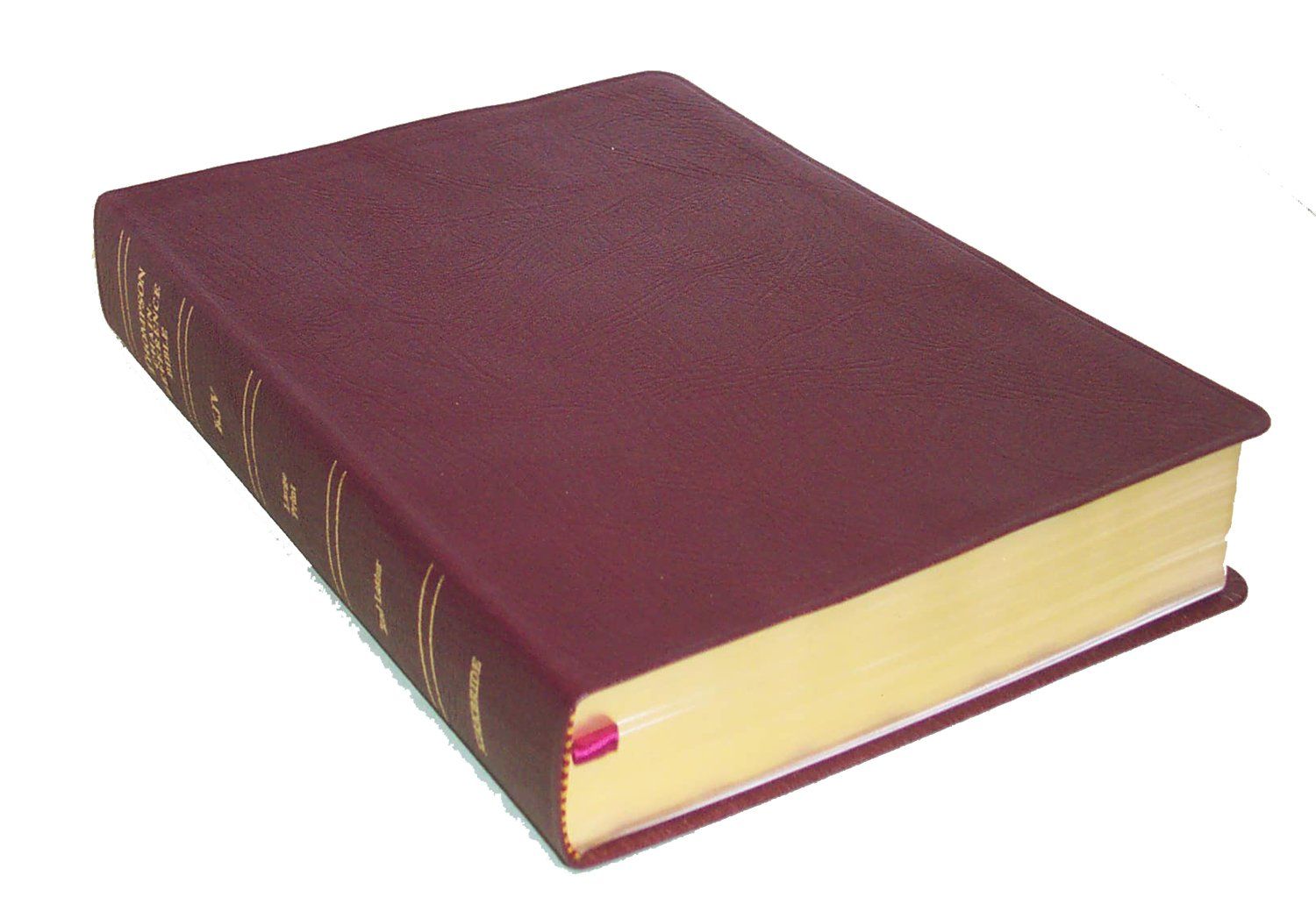 The Thompson chain-reference Bible....