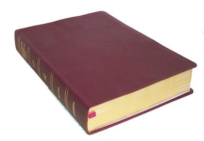 The Thompson chain-reference Bible....
