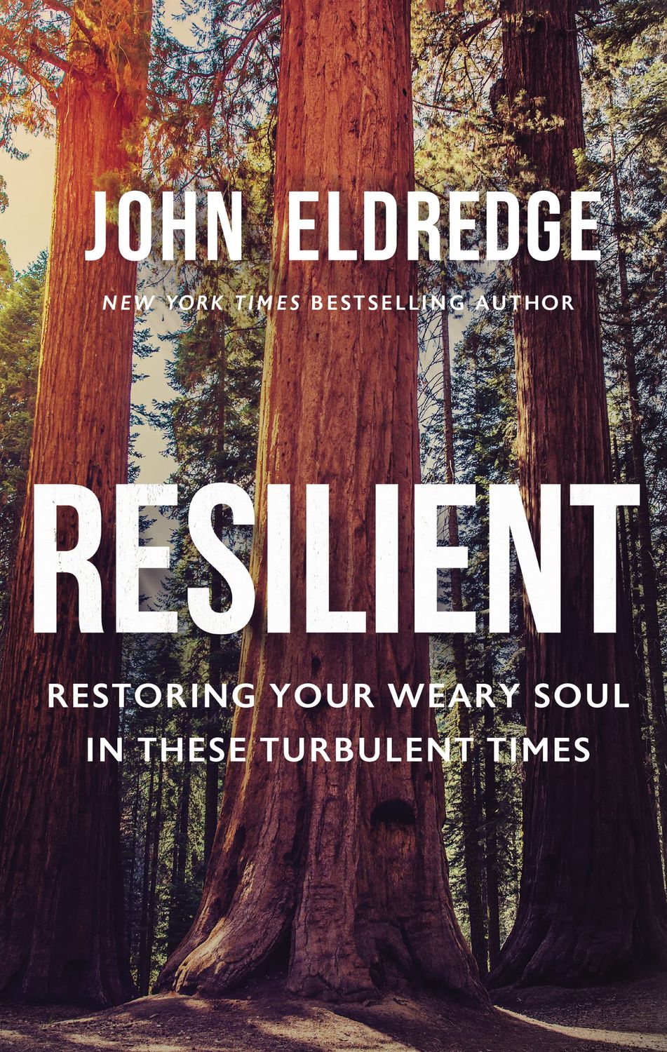 Resilient Restoring Your Weary Soul in These Turbulent Times..