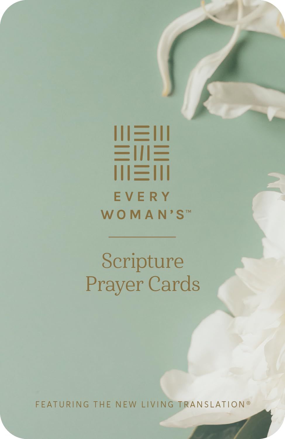Every Woman’s Scripture Prayer Cards (Softcover): Featuring the New Living Translation