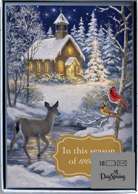 DaySpring - Dona Gelsinger In This Season of Wonder - 18 Christmas Boxed Cards and Envelopes, NIV
