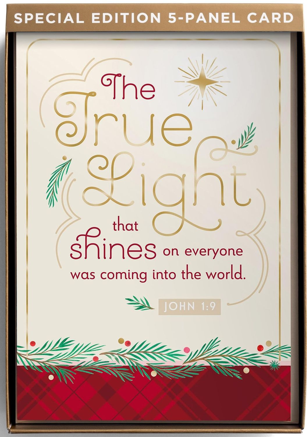 DaySpring - True Light - 18 Christmas Boxed Cards and Envelopes - Special Edition 5-Panel