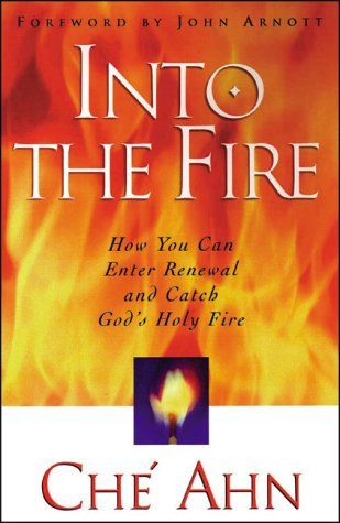 Into the Fire: How You Can Enter Renewal and Catch God's Holy Fire..