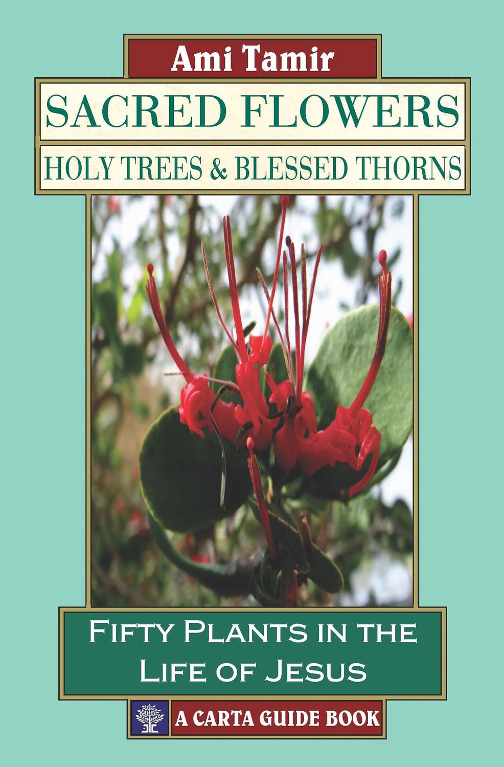 Sacred Flowers, Holy Trees &amp; Blessed Thorns Fifty Plants in the Life of Jesus..