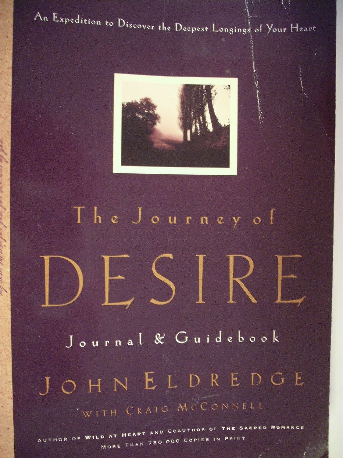 The Journey of Desire Journal &amp; Guidebook: An Expedition to Discover the Deepest Longings of Your Heart....