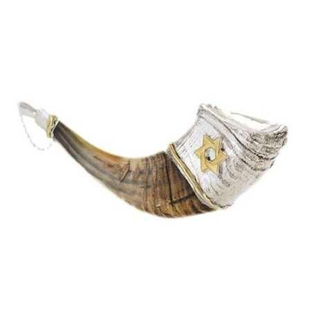Holy Land Gifts 4868 Shofar Ram Horn Anointing Silver Plated