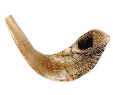 Holy Land Gifts 4874 Shofar Rams Horn B 15 In. 17 In.