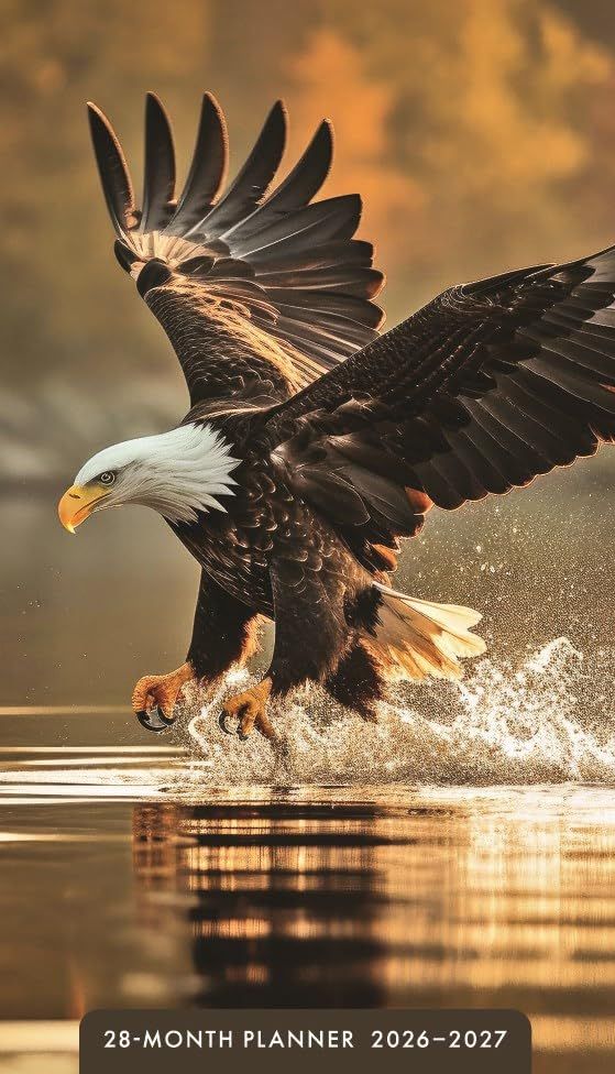 Eagles 28-Month Inspirational Pocket Planner 2026-2027, 2-Year Calendar
