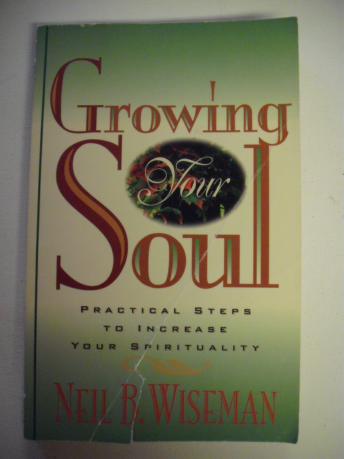 Growing Your Soul Practical Steps to Increase Your Spirituality..